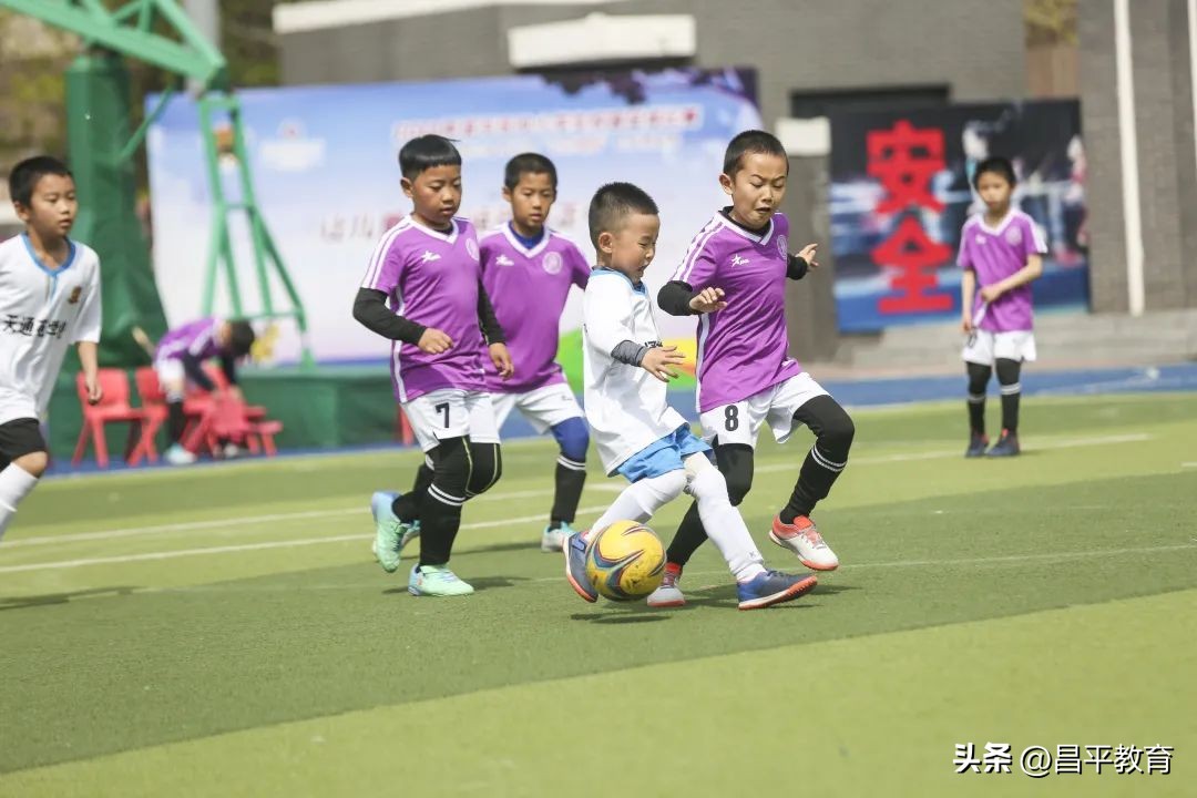 赋能于师丨城区学区在行动!