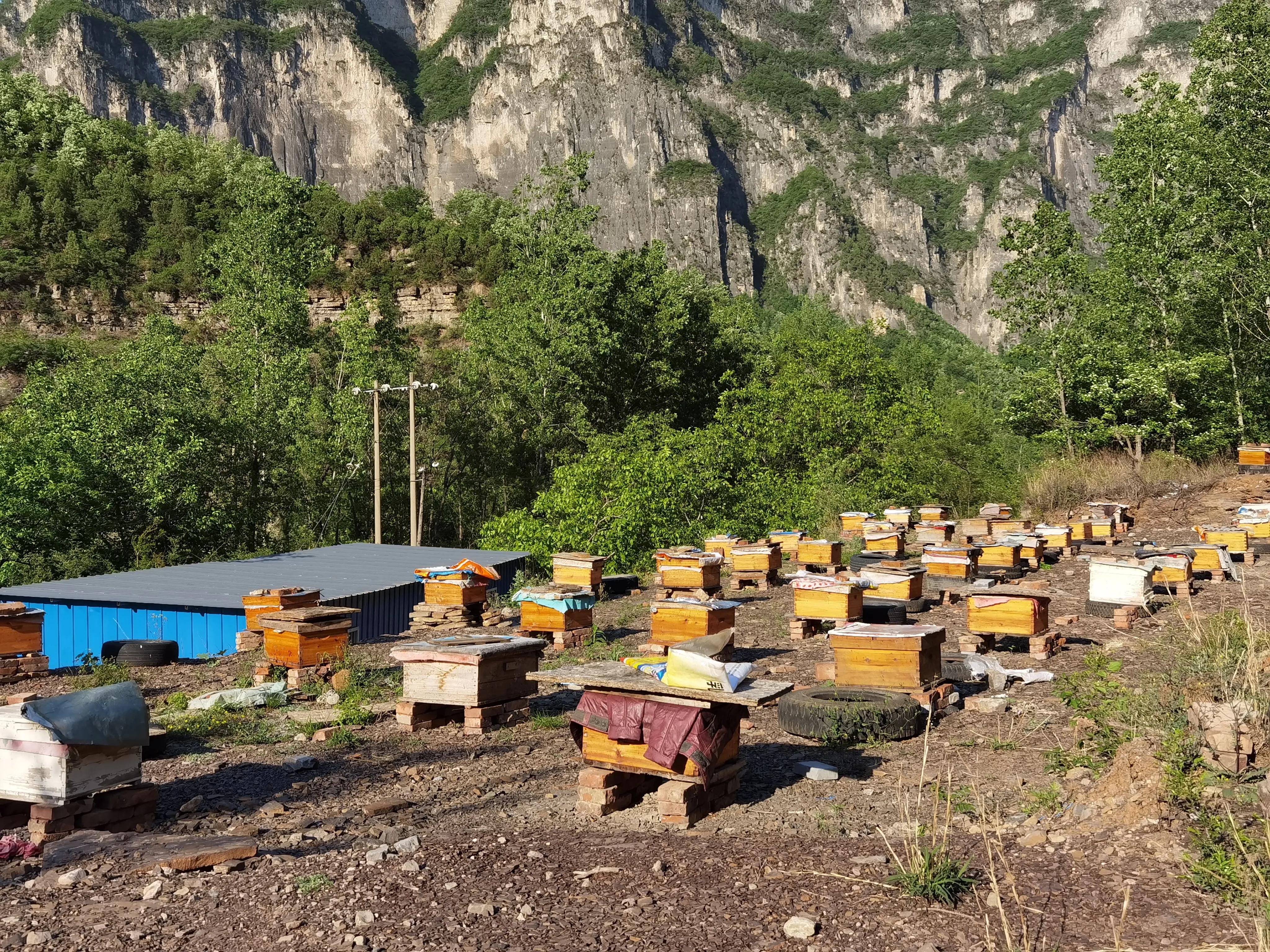 灵岩大佛山徒步,徒步灵岩山寺美篇