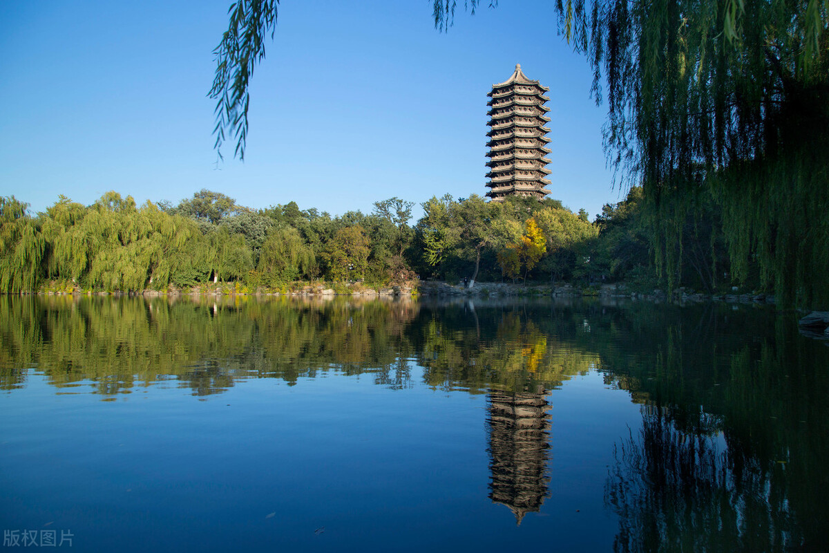 海淀区文旅局官网,文旅海淀第五期