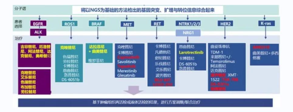 肺癌中药治疗好还是靶向治疗,靶向治疗同时可以吃中药吗
