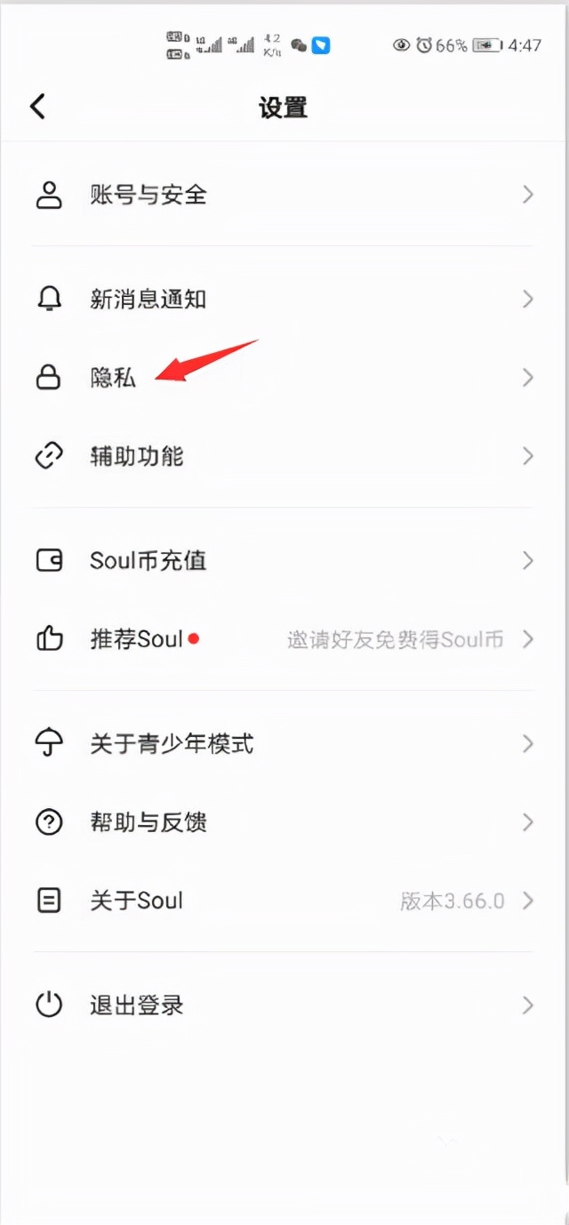 soul聊天软件好约吗,社交软件soul现状