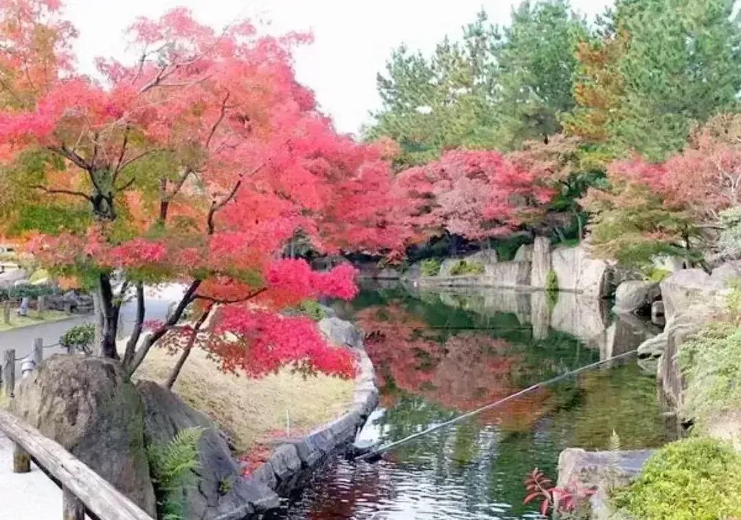 秒懂企业目标规划