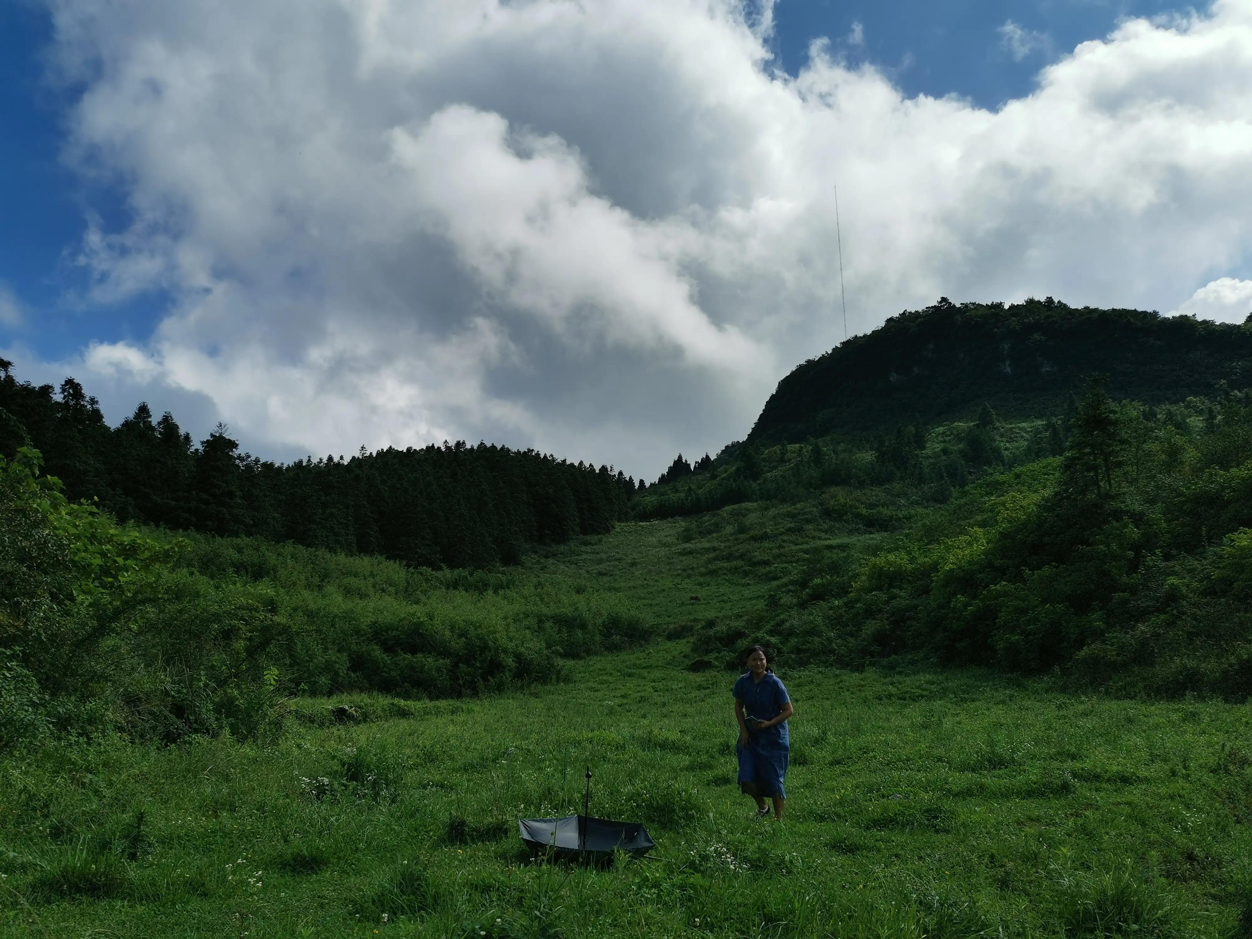 桐梓楚米避暑海拔高的地方,贵州桐梓楚米避暑哪家好