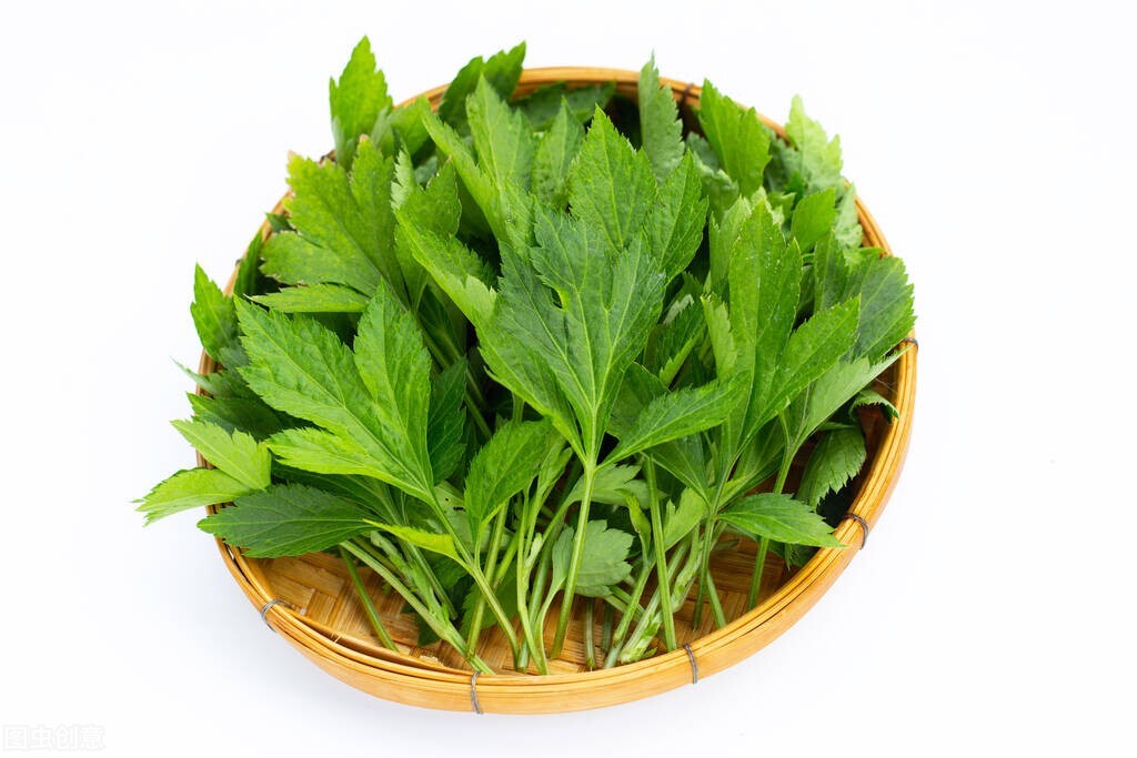 端午挂艾草是正挂还是倒挂合适,端午节要插艾草是正挂还是倒挂