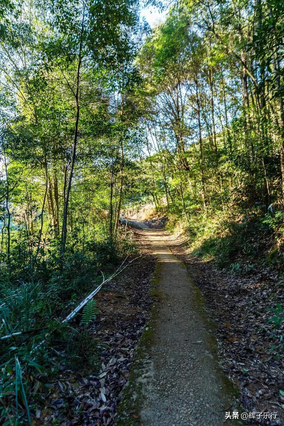 广东潮州凤凰海棠花谷，风光旖旎，3条绝美徒步线路值得一走