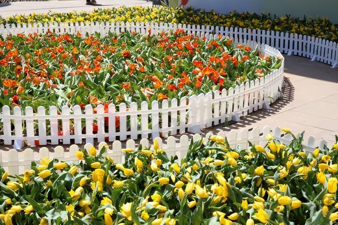 到台东旅游有哪些必去的景点,去台东旅游攻略