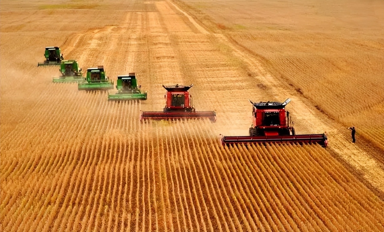 北大荒垦荒什么时候开始的,北大荒退耕还荒原因