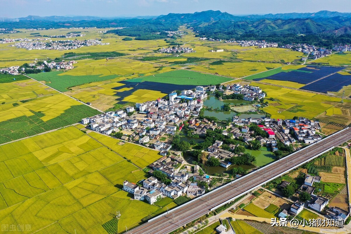 供销概念股一览表,蔚然成风组合介绍