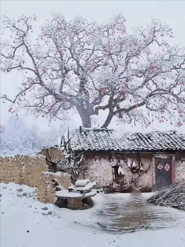 揭秘兰州往事,兰州往事马爷故事