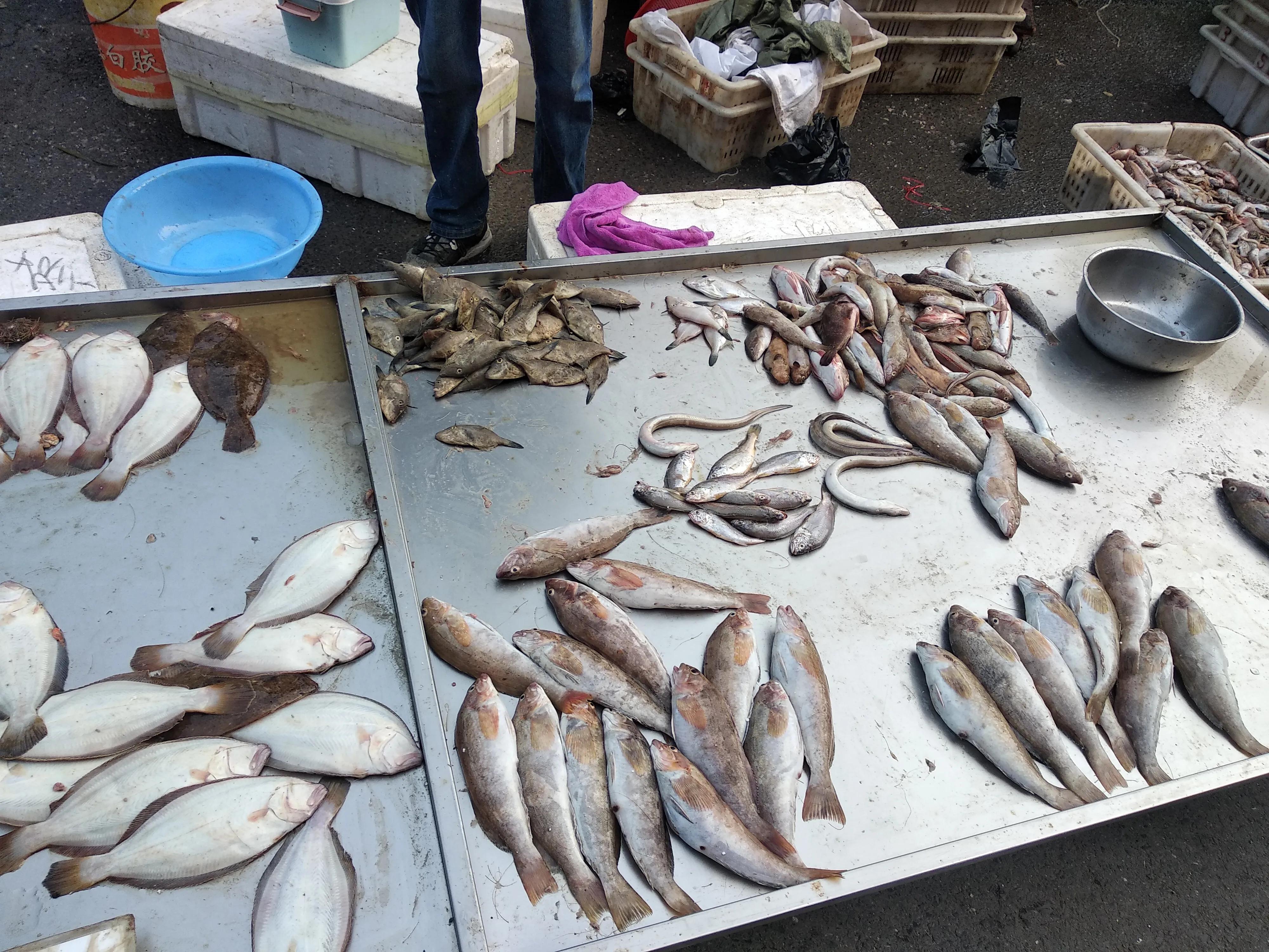 五一前吃海鱼就选这6种，正宗无养殖，大爷大妈抢着要，要吃抓紧