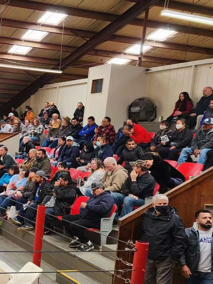 85后敖哥在澳洲：卖海鲜开餐厅，负债20万，远赴海外开卡车