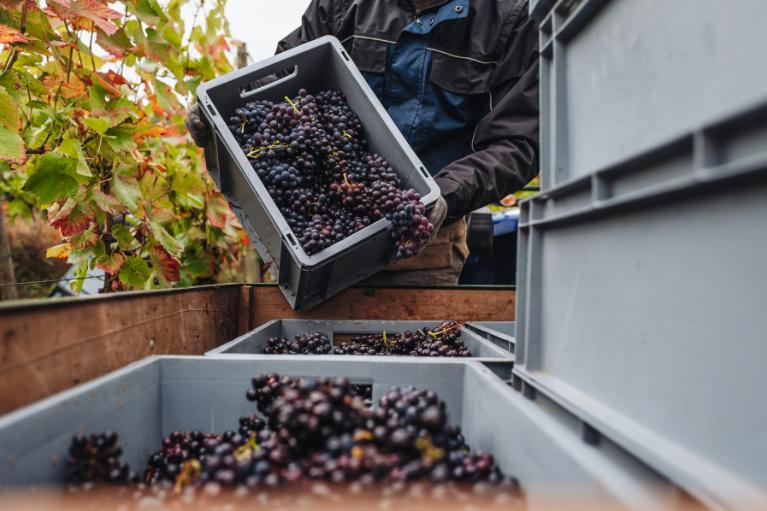 生活在卢森堡,在卢森堡的真实生活