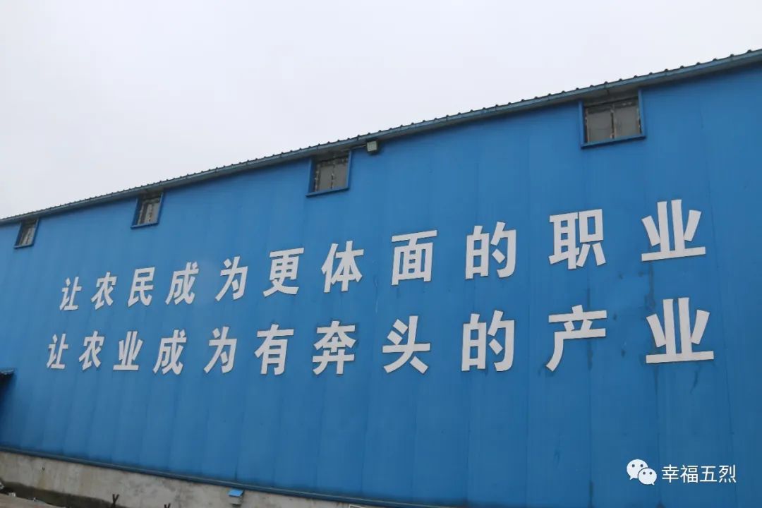 返乡种地的90后新农人,江苏90后新农人