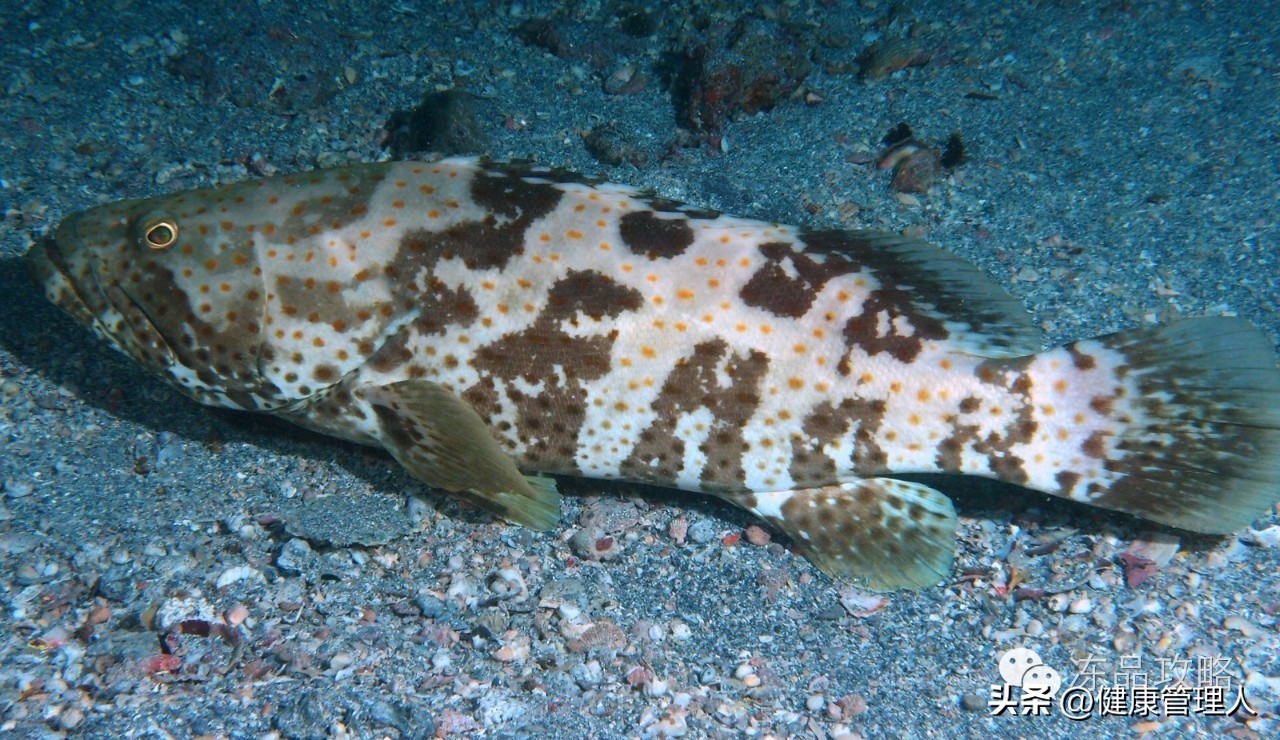 美容护肤食疗方案,美容护肤养生介绍