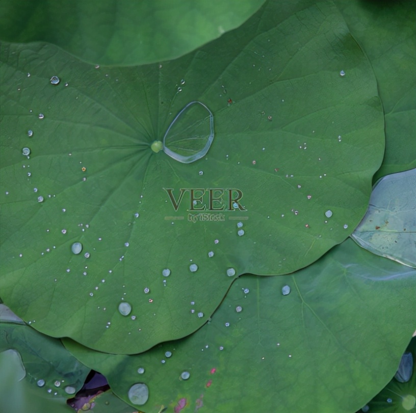 美丽神奇的肥皂泡,肥皂泡不能说的秘密