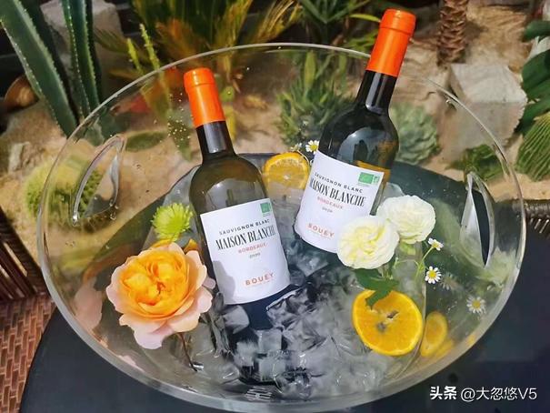 凌乱随笔,杂乱记事