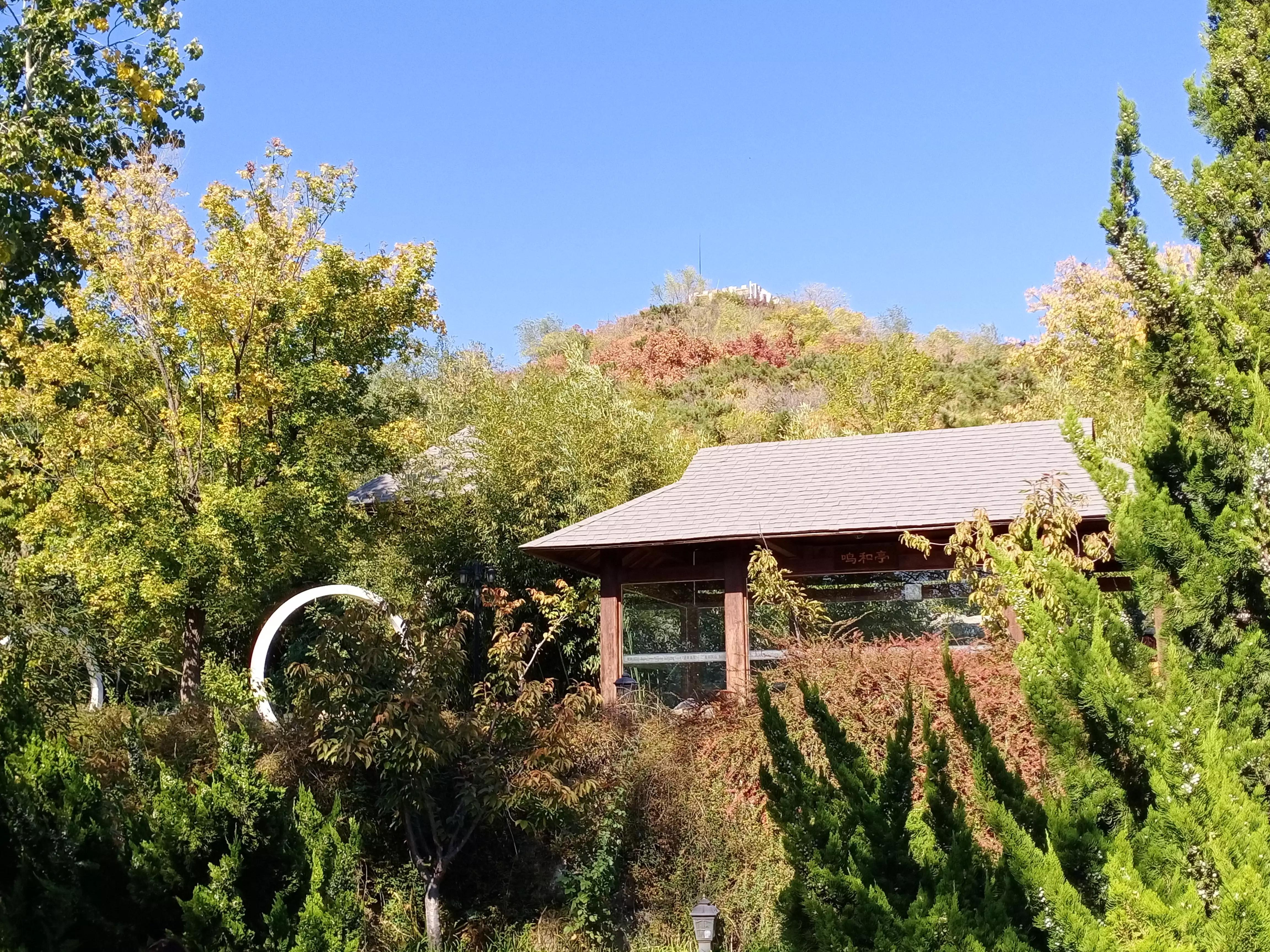 最好的温泉是硫磺温泉吗,凤山温泉和白鹿温泉度假村哪个好