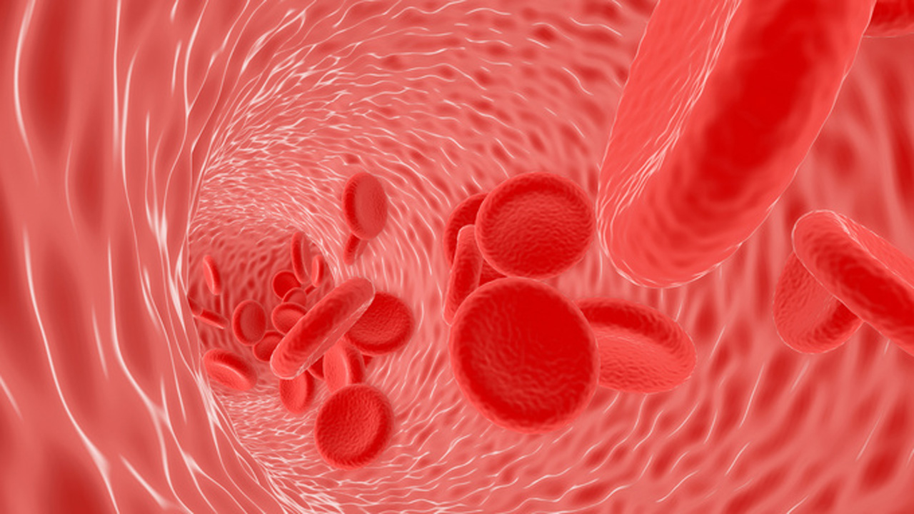 速效救心丸治什么心脏病,速效救心丸可以用于各种心脏病吗