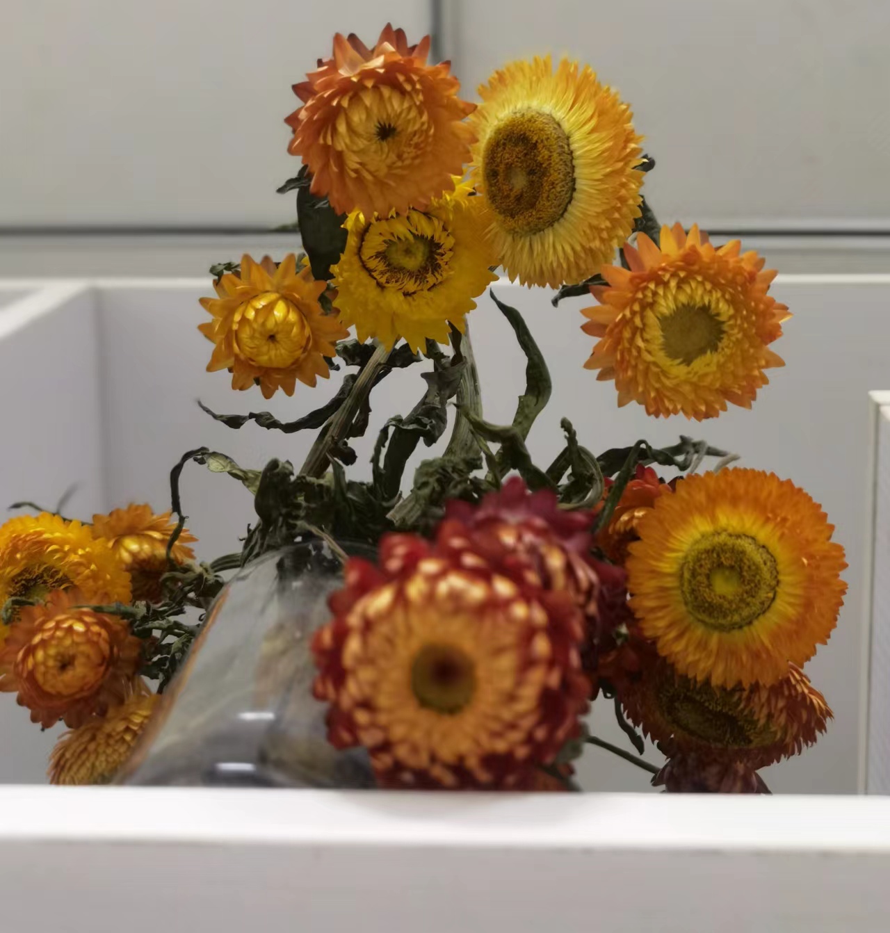 什么是职业病及危害,什么是职业病应急救援措施