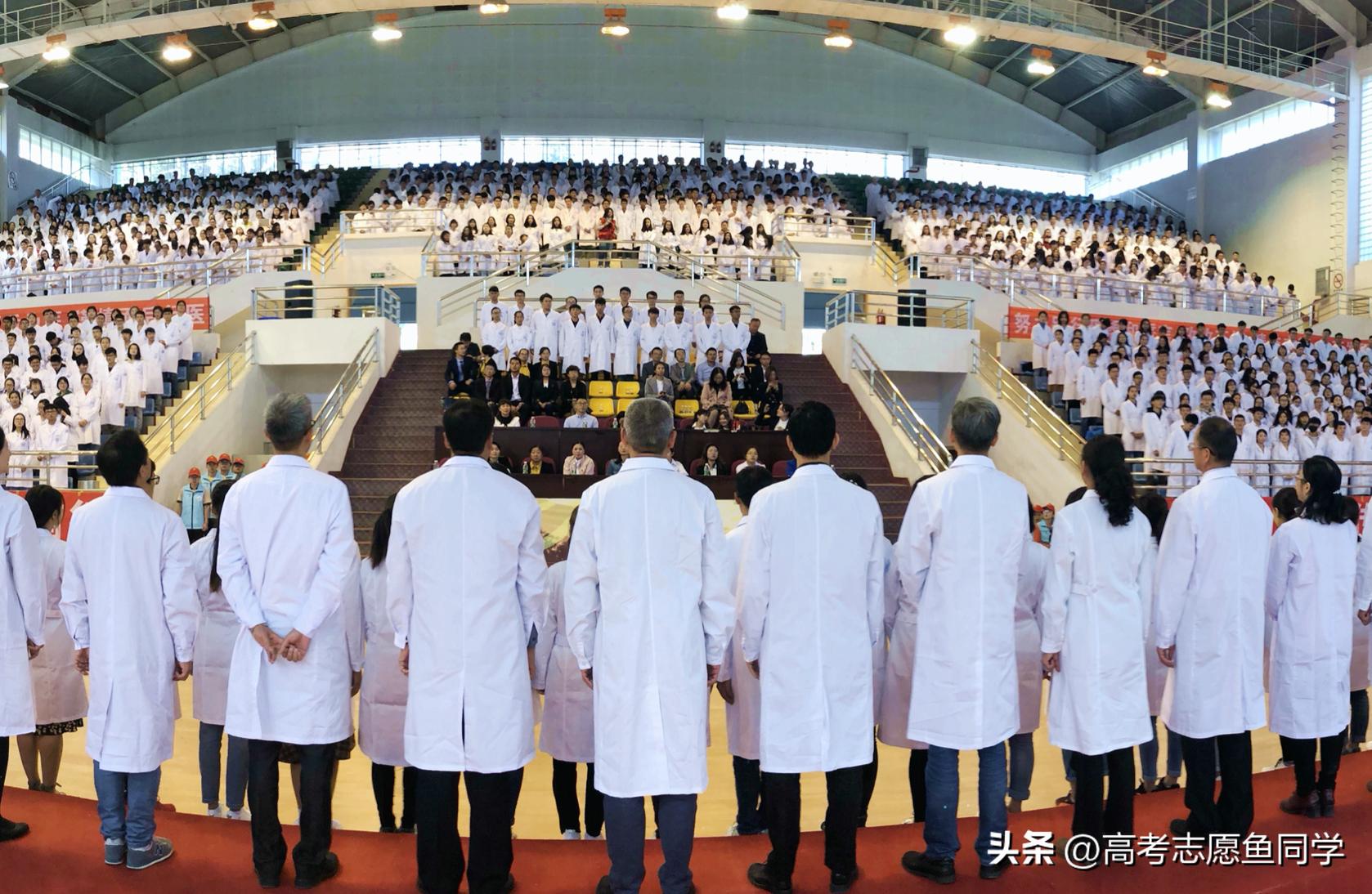 7个“临床医学类”专业报考很热门，学时比较长，但就业优势较大