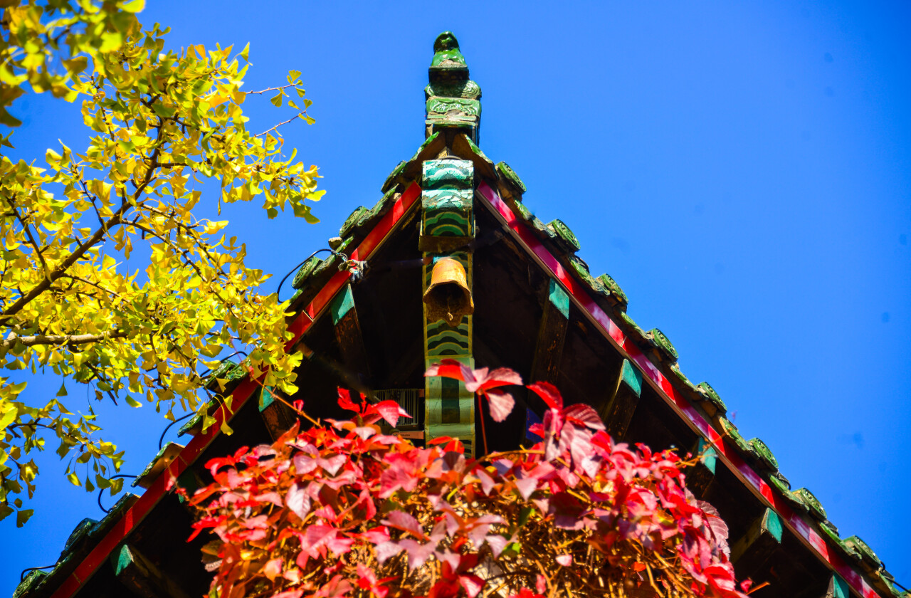 济南赏秋,秋天济南去哪里赏秋最好