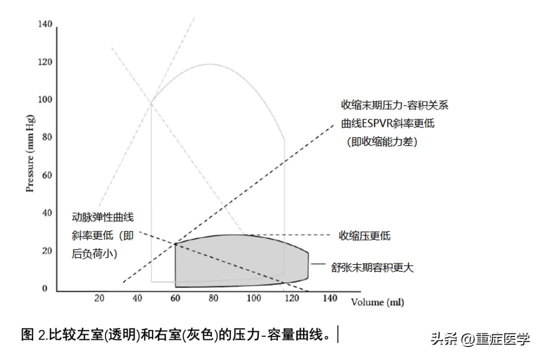 心源性休克是左心还是右心,心源性休克的处理