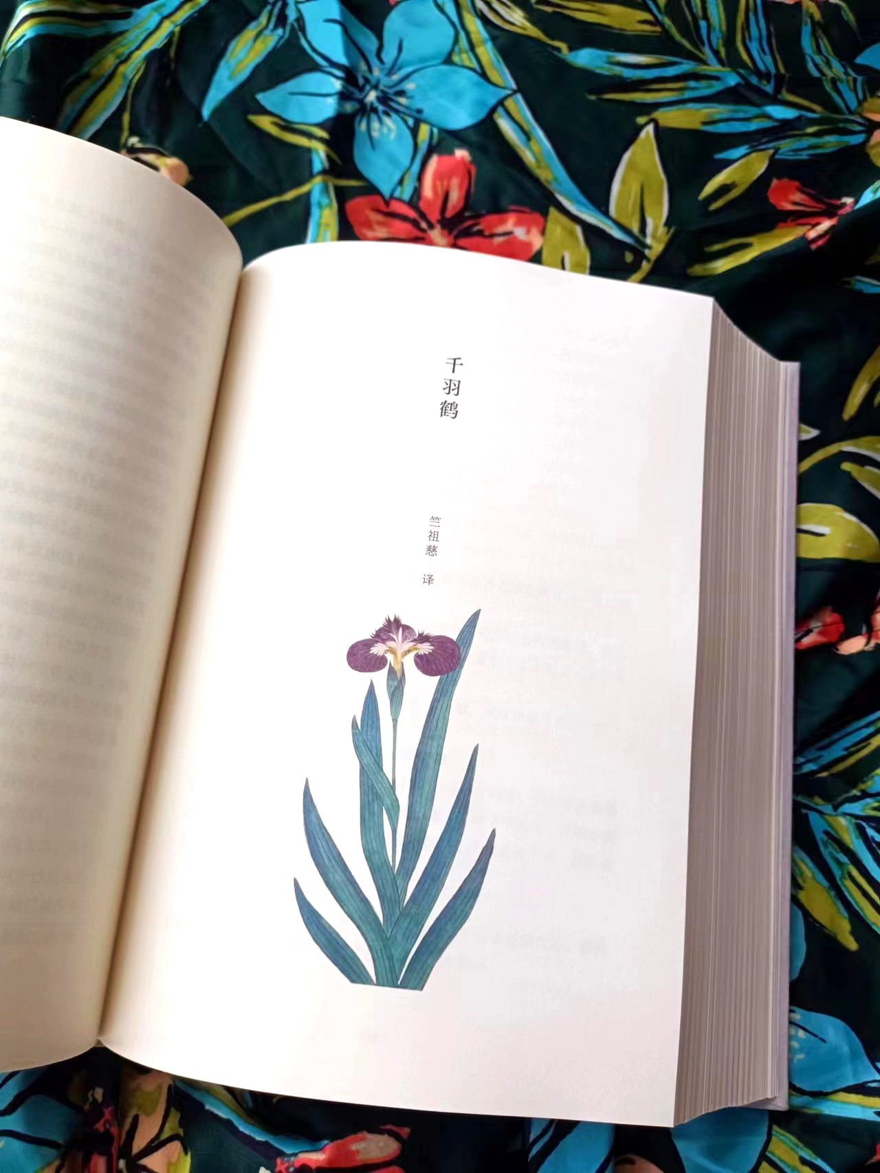 川端康成笔下的物哀之美,川端康成作品集全译本