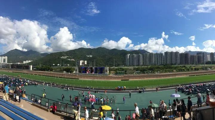 在香港看赛马是什么体验？教你10HKD在香港收获有钱人的快乐
