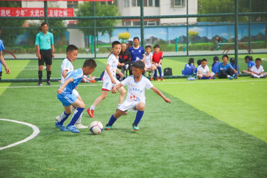 全县青少年校园足球联赛,大武口区校园足球联赛