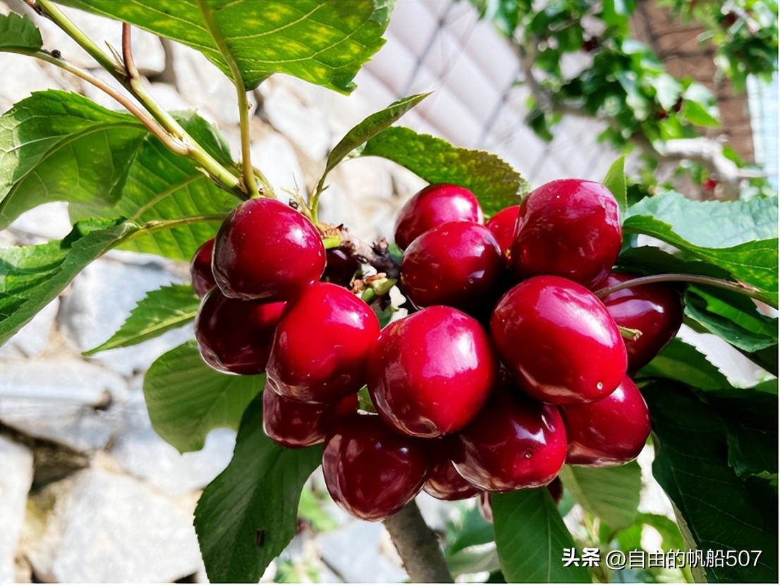 辽宁省大连市甘井子区酒店,辽宁省大连市甘井子区房价