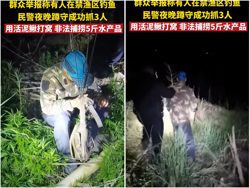 婀栧寳娉ラ硡鎵撶獫琚姄,婀栧寳娉ラ硡琚姄