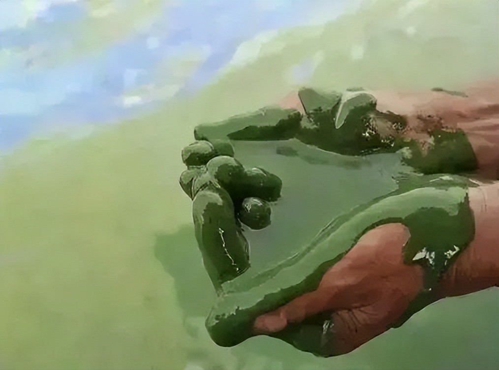 是时候为4500000000岁的TA做点什么了!