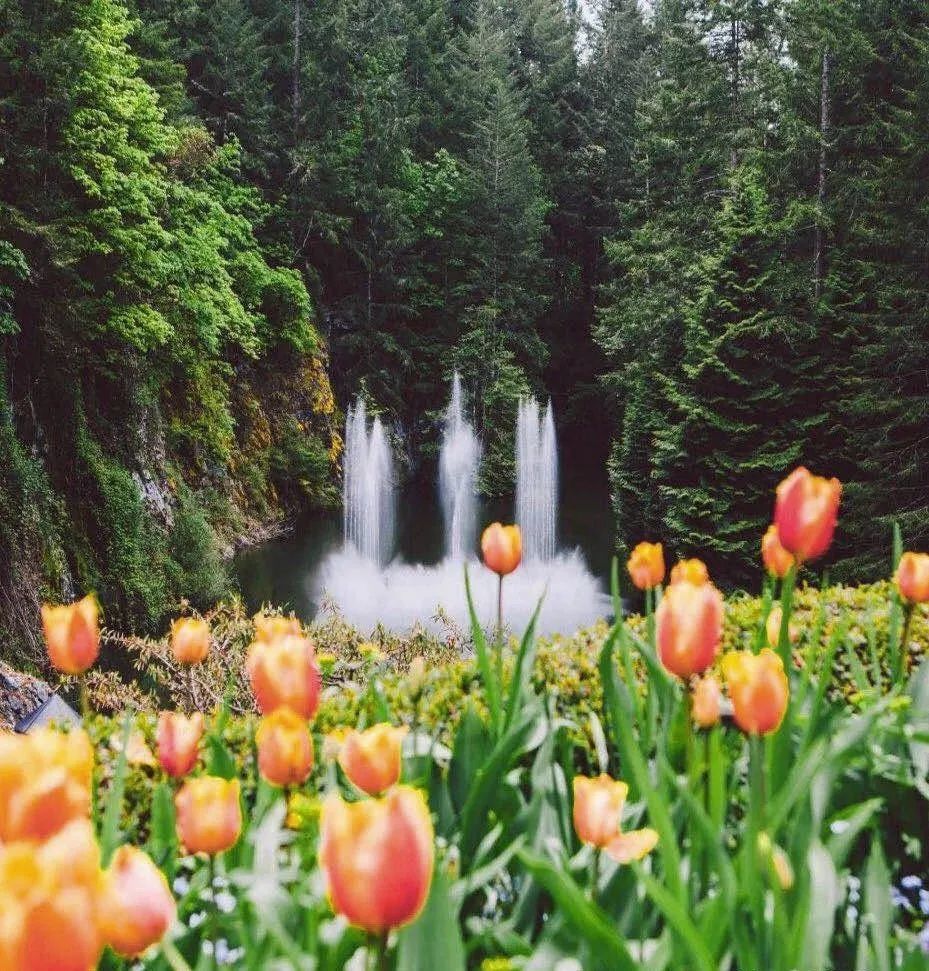 最美的十座园林,中国十大最美园林之留园