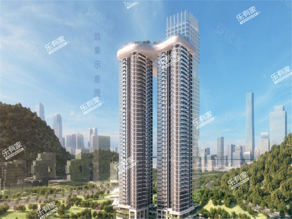 伴山特价房49万,深圳伴山伴海二手房