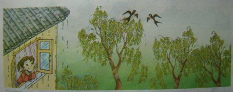 一年级100篇看图写话完整版的图片,一年级看图写话海边捡贝壳100字