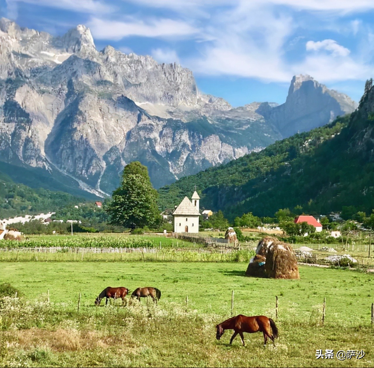 阿尔巴尼亚总统霍查访问过中国吗,阿尔巴尼亚恩维尔霍查是怎么死的