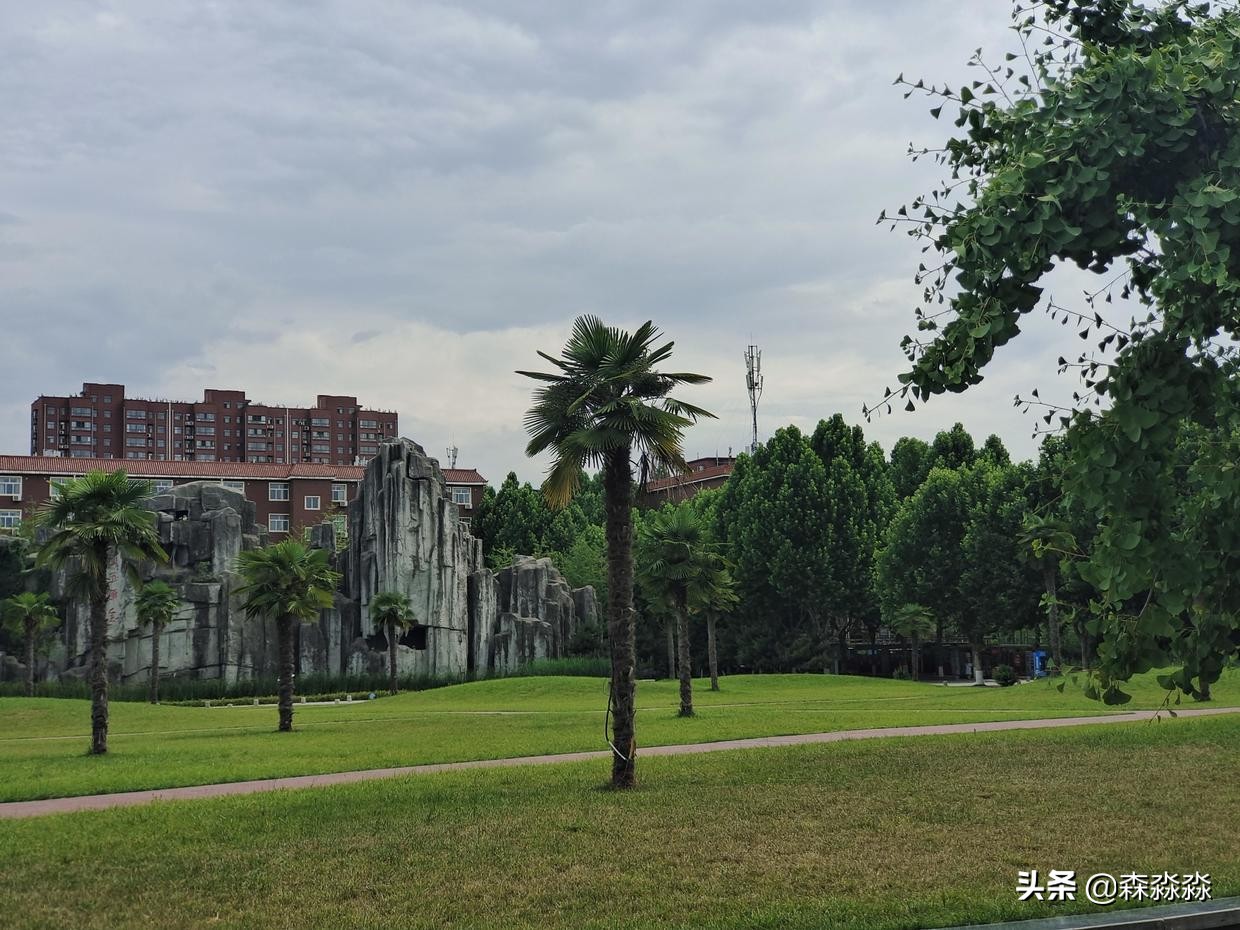 西京学院，C位出道，实现平凡且伟大的梦想