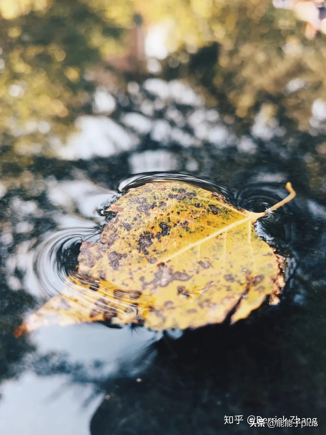 iphone12相机美颜怎么开,iphonex相机最佳设置