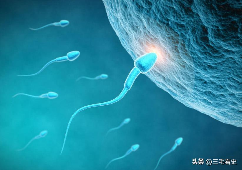 捐精会有漂亮护士协同帮忙？捐精者亲述历程，事后领取7500补贴