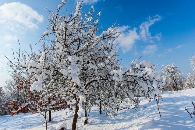 铔颁紡瀹堟湜,铔颁紡瀹堟湜鏄粈涔堟剰鎬濆晩