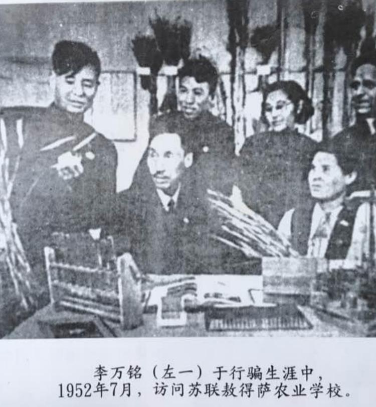 *子骗**靠造假混进中央做官，还娶到美女翻译，最后因吹牛暴露身份