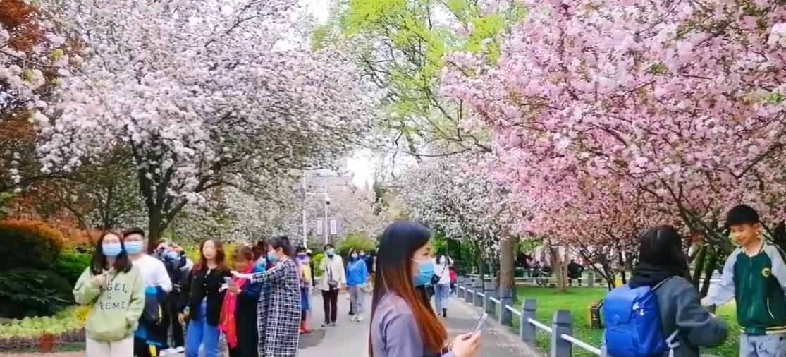 郑州周末遛娃踏青好去处,郑州春季带孩子游玩好去处推荐