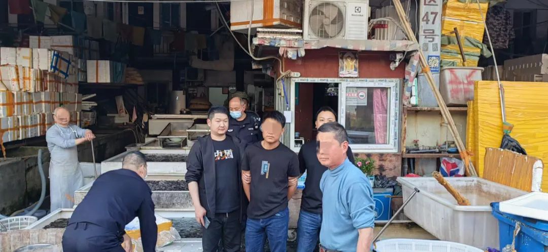 低价卖房骗购房款,低价售卖房诈骗案例