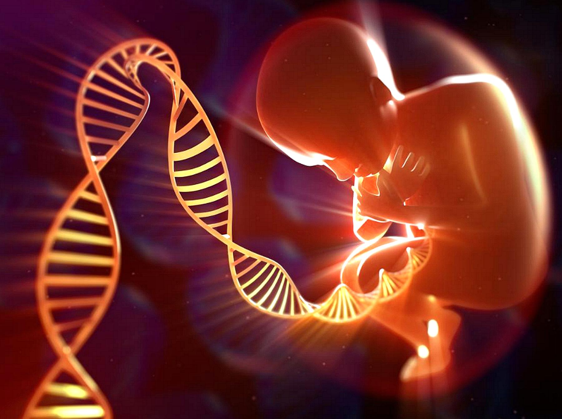 黄种人、黑种人和白种人为啥能自由交配?人类没有生殖隔离吗?