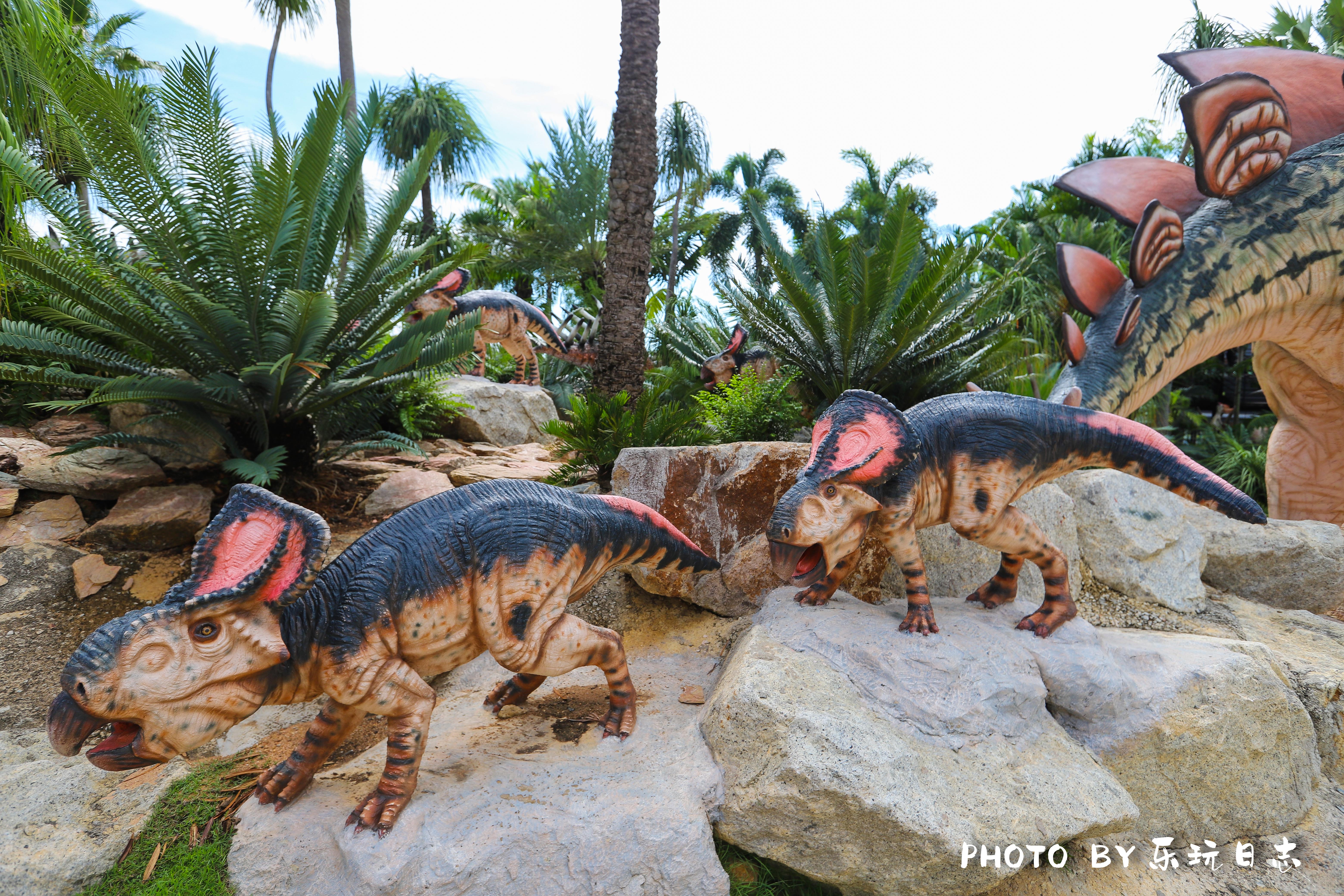 泰国热带公园,泰国东芭乐园占地面积