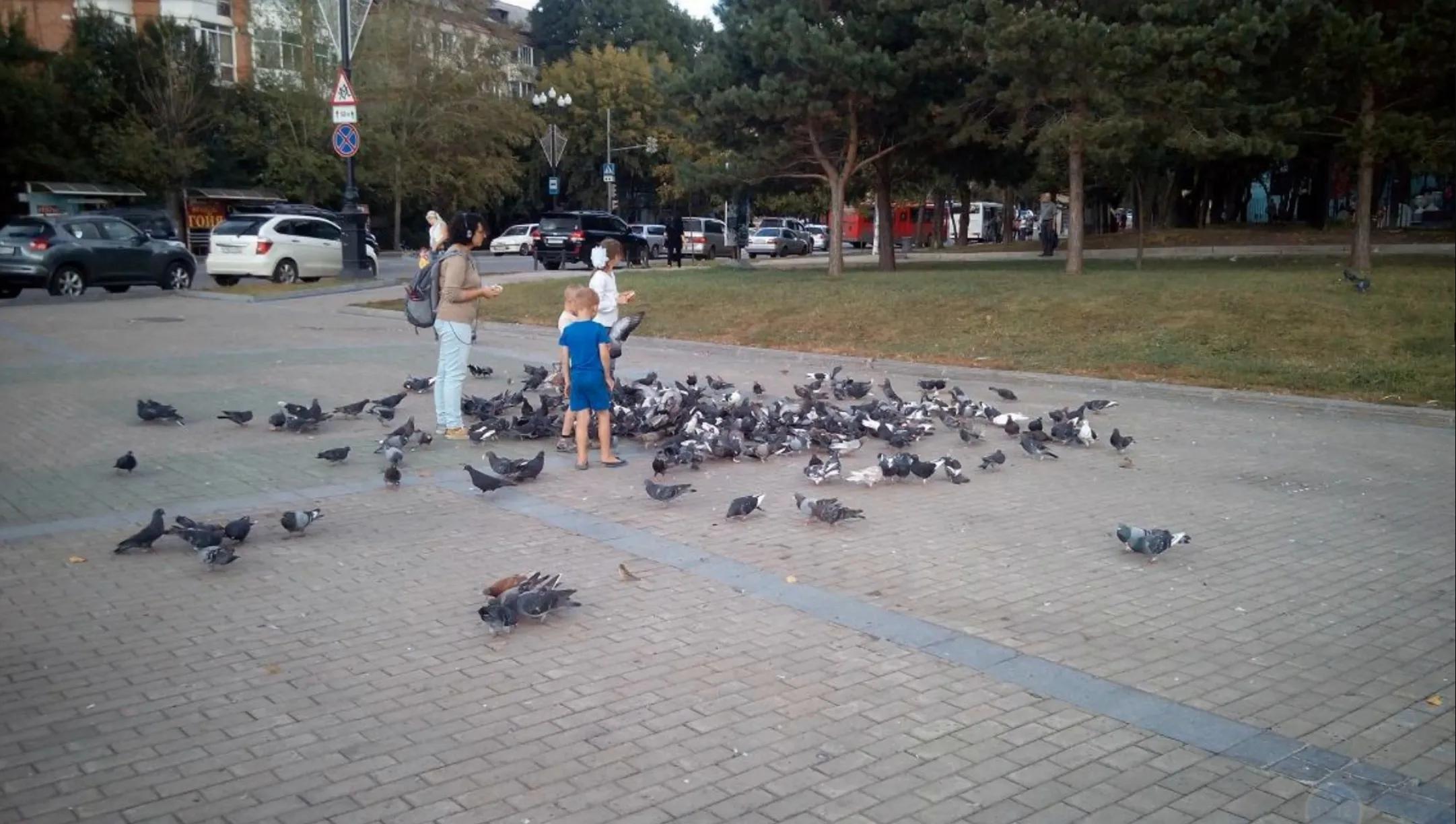 俄罗斯远东哈巴罗夫斯克金矿,俄罗斯哈巴罗夫斯克卫星图