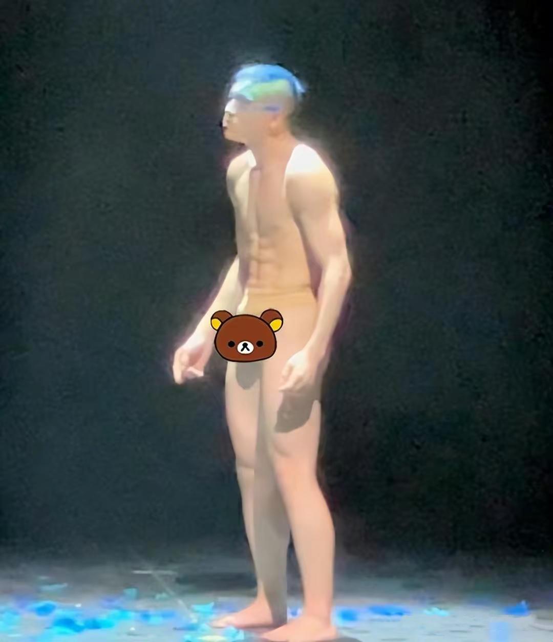 杨丽萍孔雀舞备受争议,杨丽萍舞蹈争议