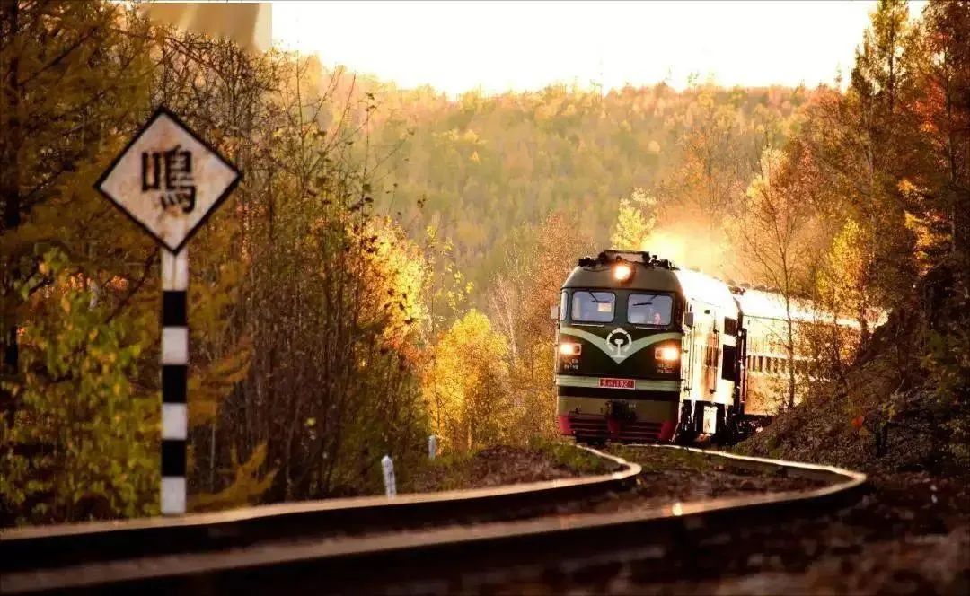 文学大赛获奖名单,全国中小学校园文学大赛获奖作品