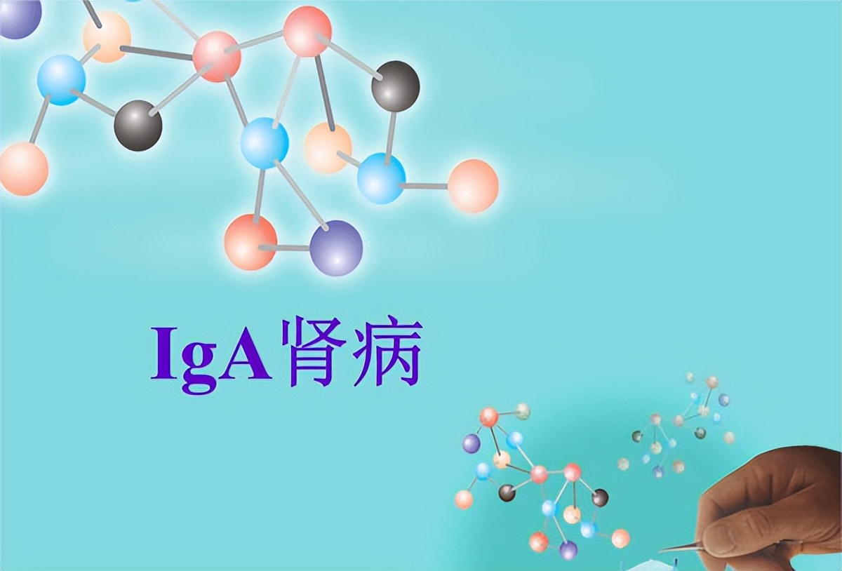 治疗iga肾病常见的注意事项有哪些,iga肾病复发怎么保养恢复过来