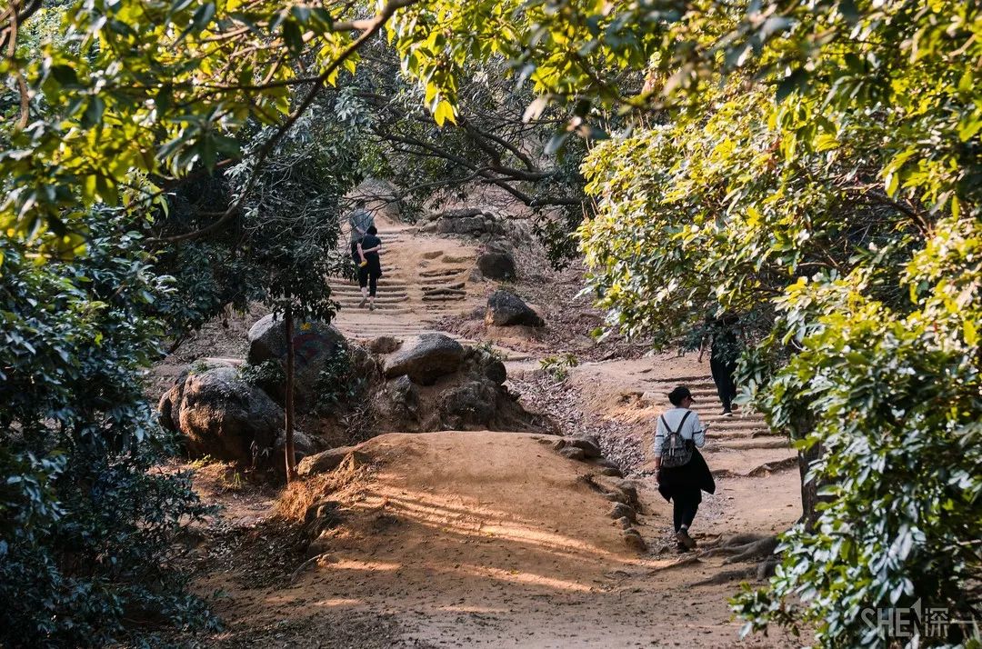 深圳一日游必去的地方,深圳吃货必去的地方